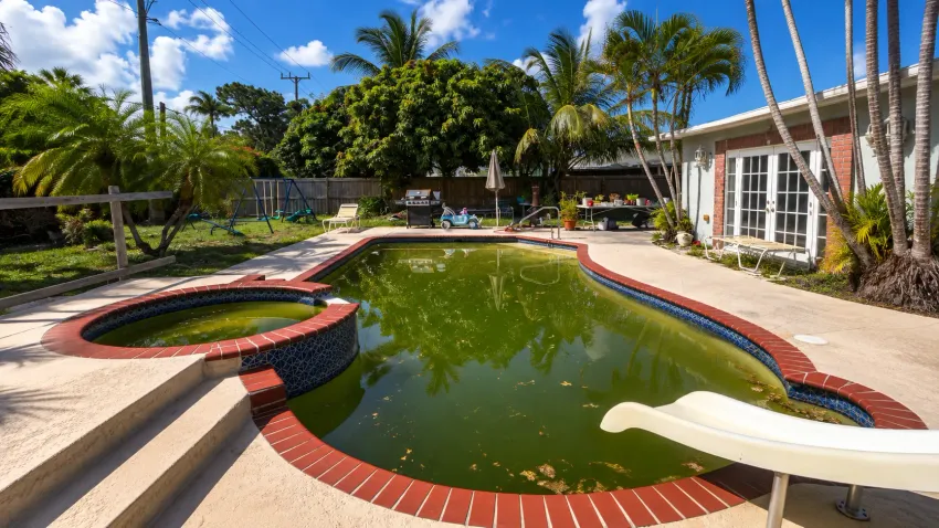 The same pool before treatment, with green water